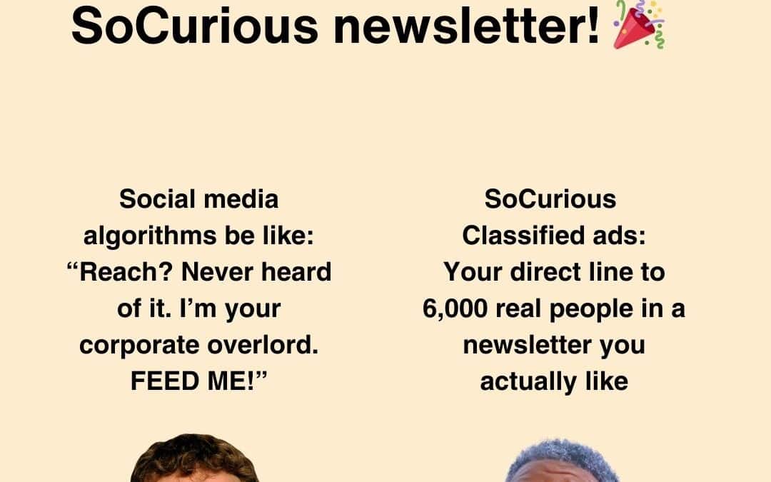 Introducing SoCurious Classified Ads